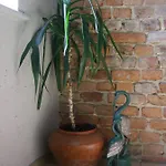 Homestay szállás U Henriety *