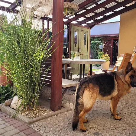 U Henriety Ubytování v soukromí *