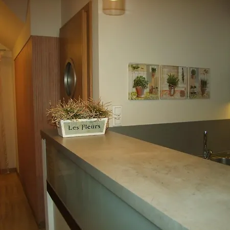 U Henriety * Wojnowice (Silesia)