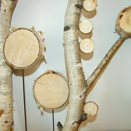 U Henriety * Wojnowice (Silesia)