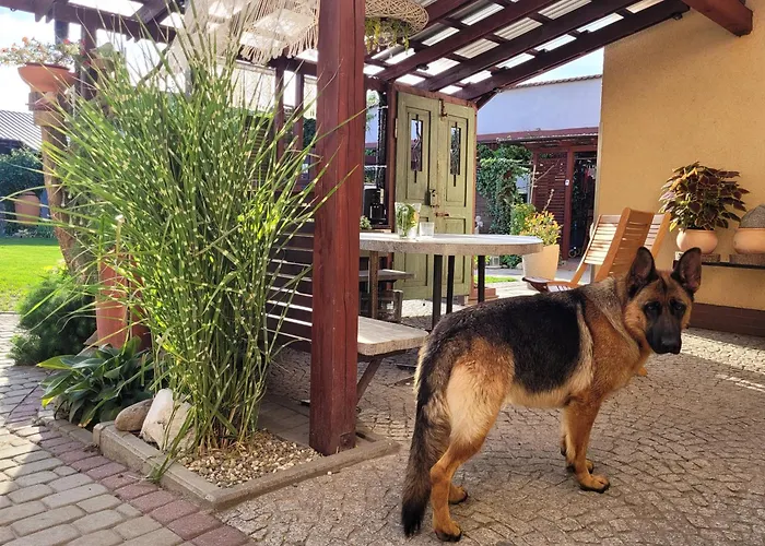 U Henriety Ubytování v soukromí *