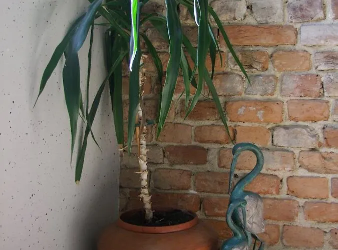 Ubytování v soukromí U Henriety *